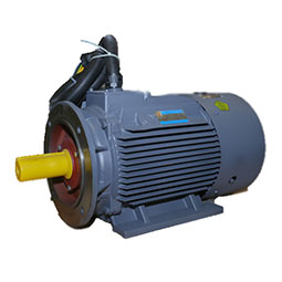 YD、YDT系列變極多速電動(dòng)機(jī)